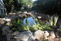 Ciranda Koi Pond evolved from a Rain Garden Design.